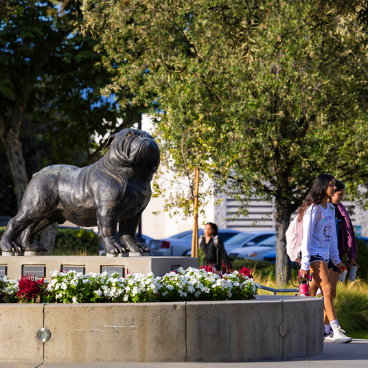 Image card - Bulldog mascot statue